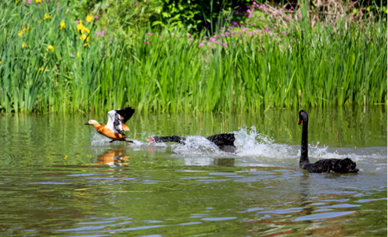 说明: //rcb.dirtycomic.net/__local/5/A1/BF/141495AC6945C309DDB4AD2C889_6E35C68A_1210AD.png