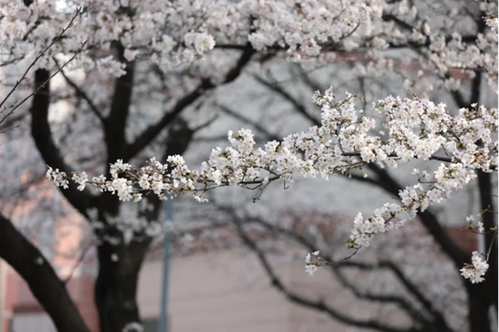 说明: //rcb.dirtycomic.net/__local/0/0E/1A/F90418D62B9F0009BCED62872C7_74EA8EE1_1382B8.png